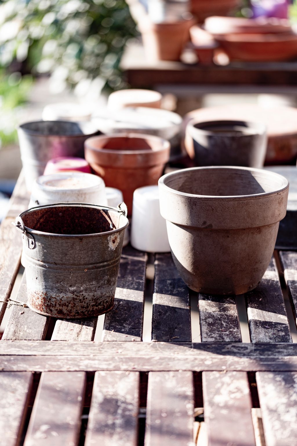 what-pot-size-to-use-for-tomato-plants-megatomato